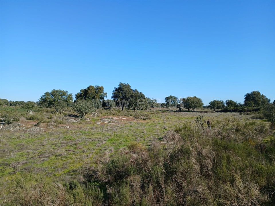 Helårsgrund i Nisa, Portalegre - foto 2