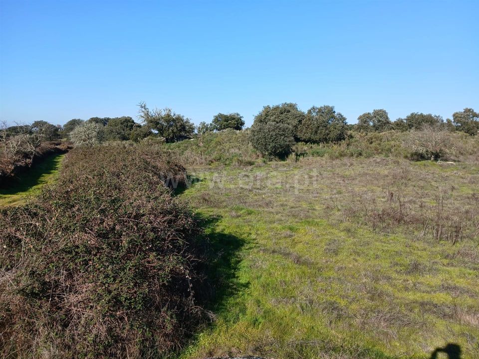 Helårsgrund i Nisa, Portalegre - foto 3