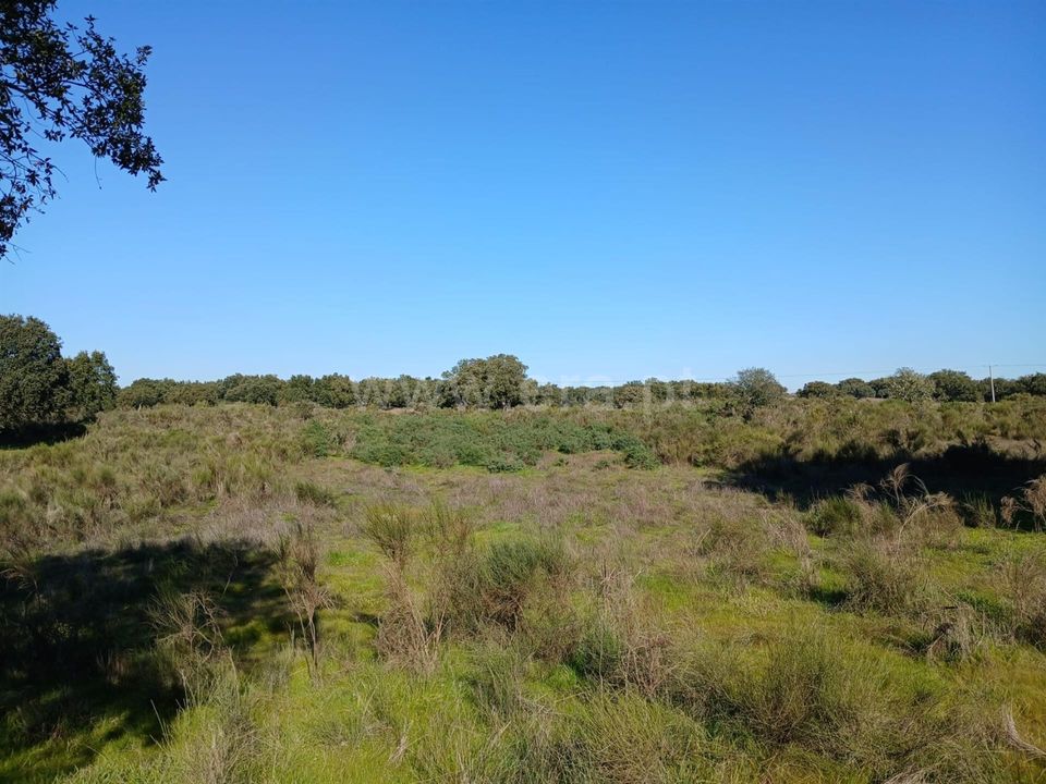Helårsgrund i Nisa, Portalegre - foto 5