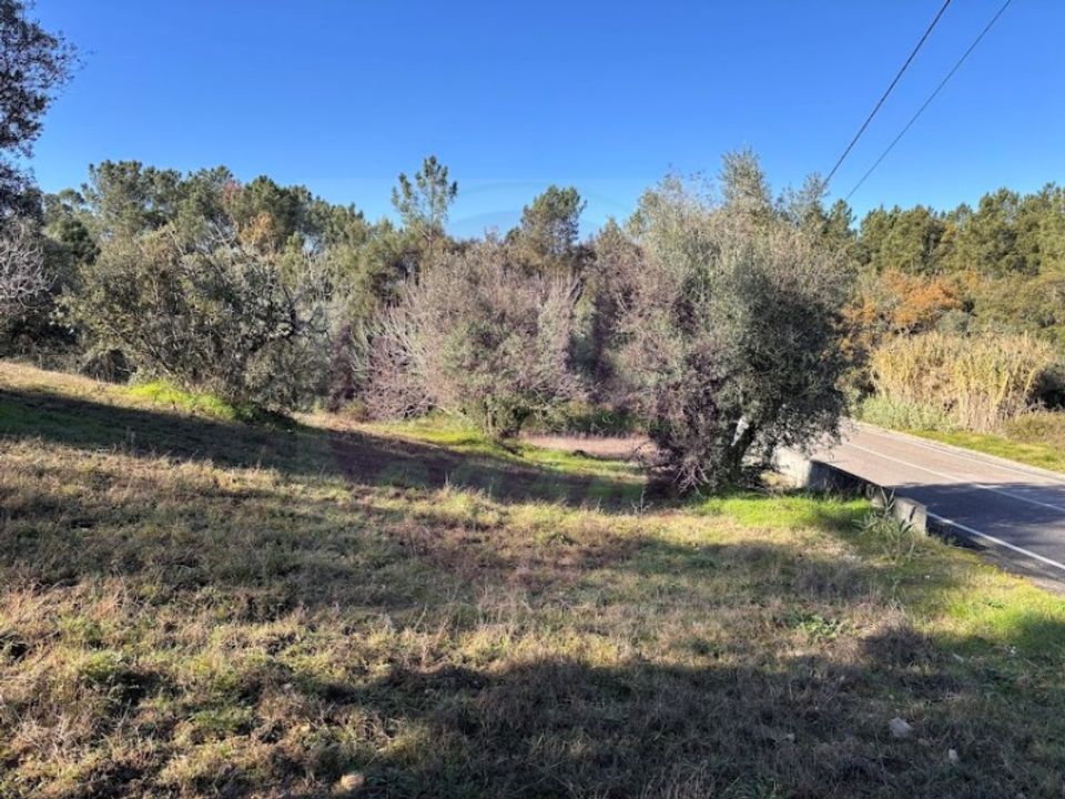 Helårsgrund i Tomar, Santarem - foto 4