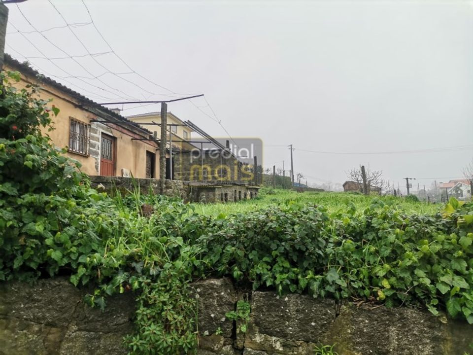 Herregård i Airao (Santa Maria), Braga - bilde 4