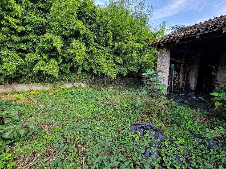 Villa i San Daniele Po, Cremona - foto 4