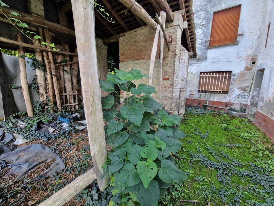 Villa i San Daniele Po, Cremona - foto 3