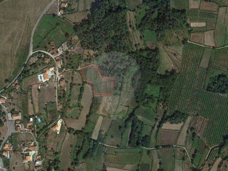 Helårsgrund i Valenca, Viana do Castelo - foto 3