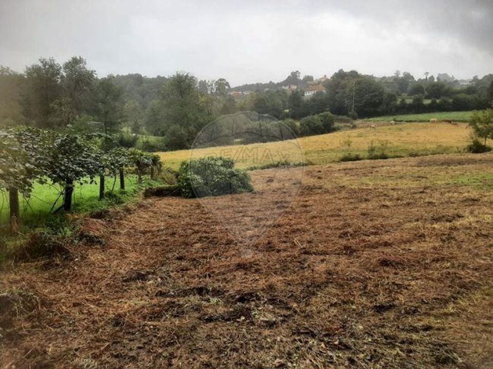 Helårsgrund i Paredes de Coura, Viana do Castelo - foto 3