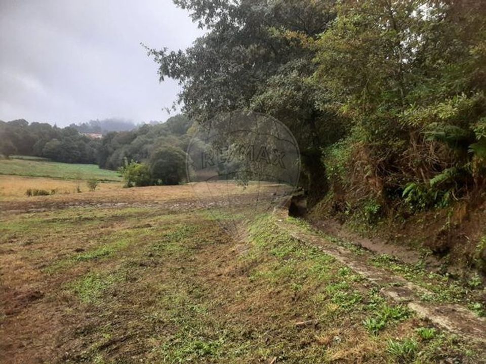 Helårsgrund i Paredes de Coura, Viana do Castelo - foto 4