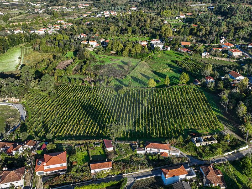 Farm i Celorico de Basto, Braga - foto 1