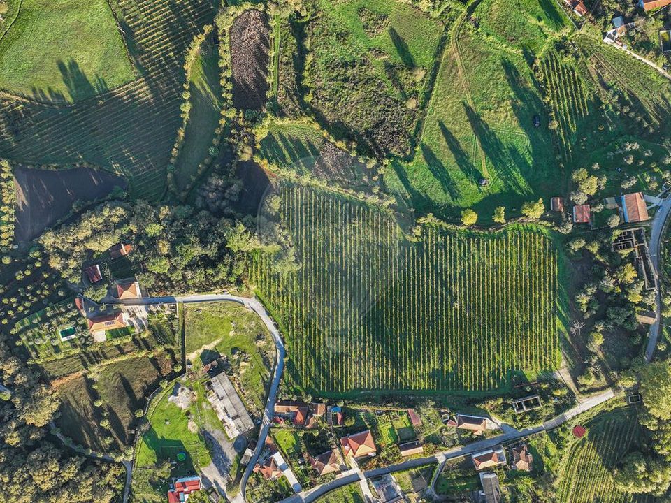 Farm i Celorico de Basto, Braga - foto 2