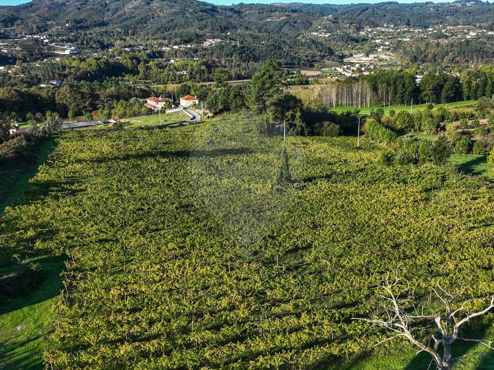 Farm i Celorico de Basto, Braga - foto 3