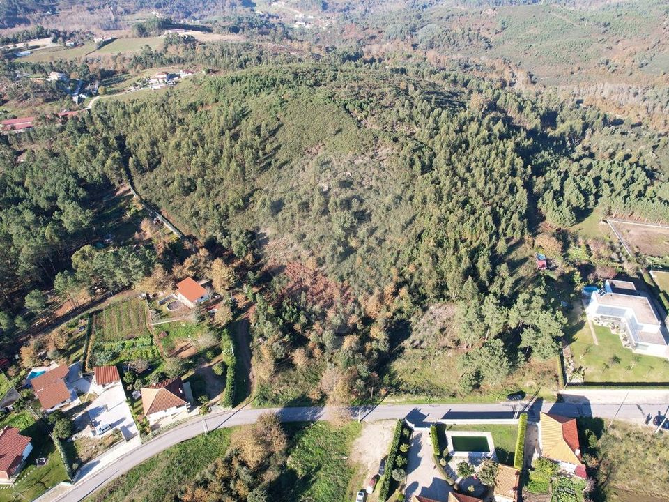 Tomt i Cabeceiras de Basto, Braga - bilde 1