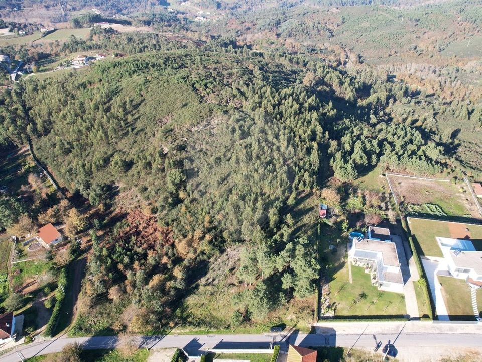 Tomt i Cabeceiras de Basto, Braga - bilde 3