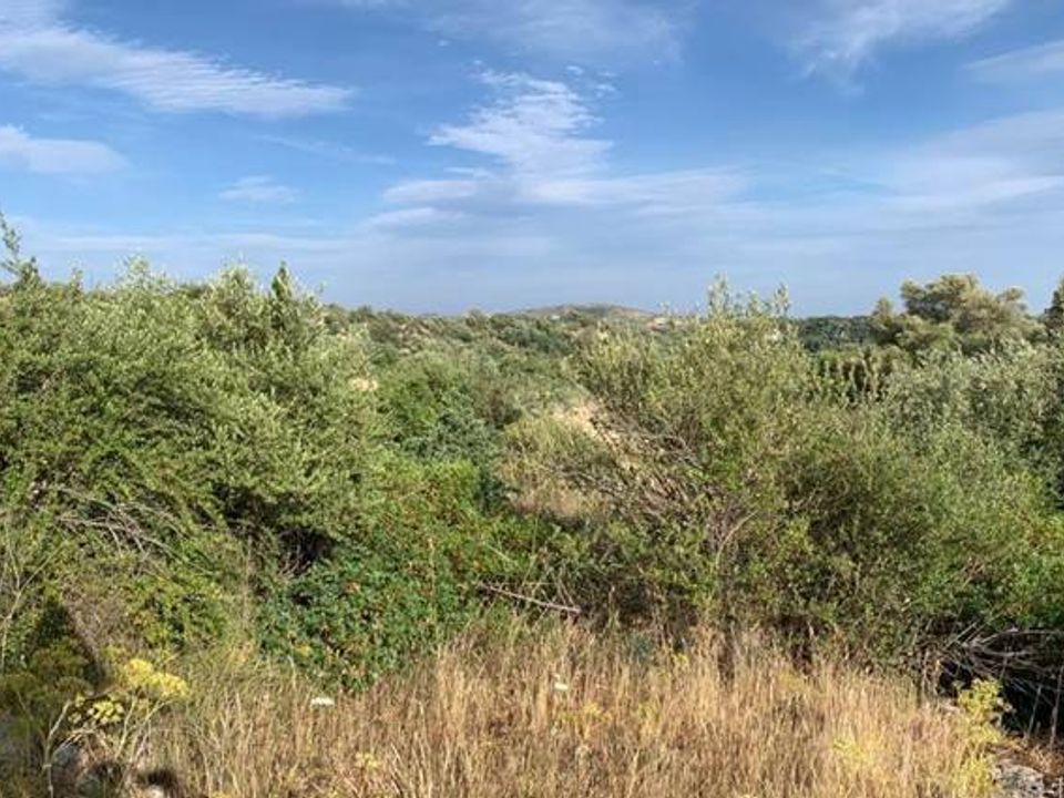 Helårsgrund i Noto, Siracusa - foto 2