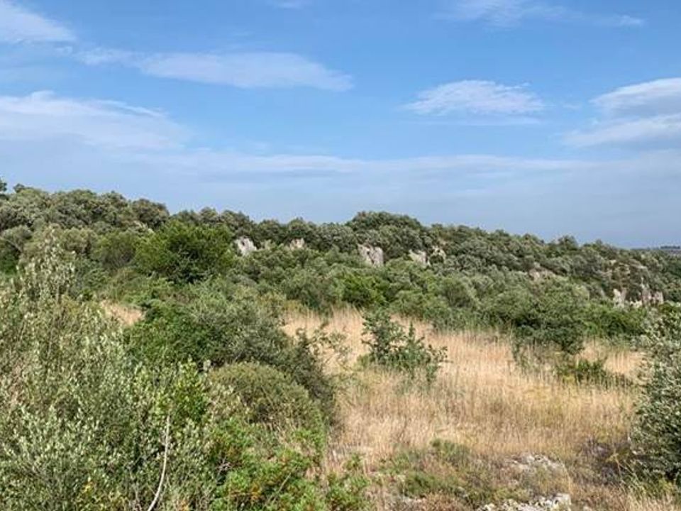 Helårsgrund i Noto, Siracusa - foto 3