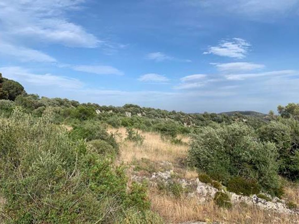 Helårsgrund i Noto, Siracusa - foto 4