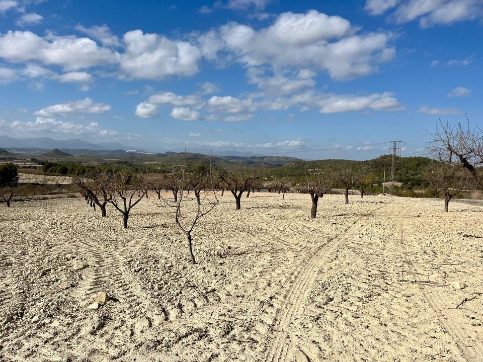 Helårsgrund i Bullas, Murcia - foto 1