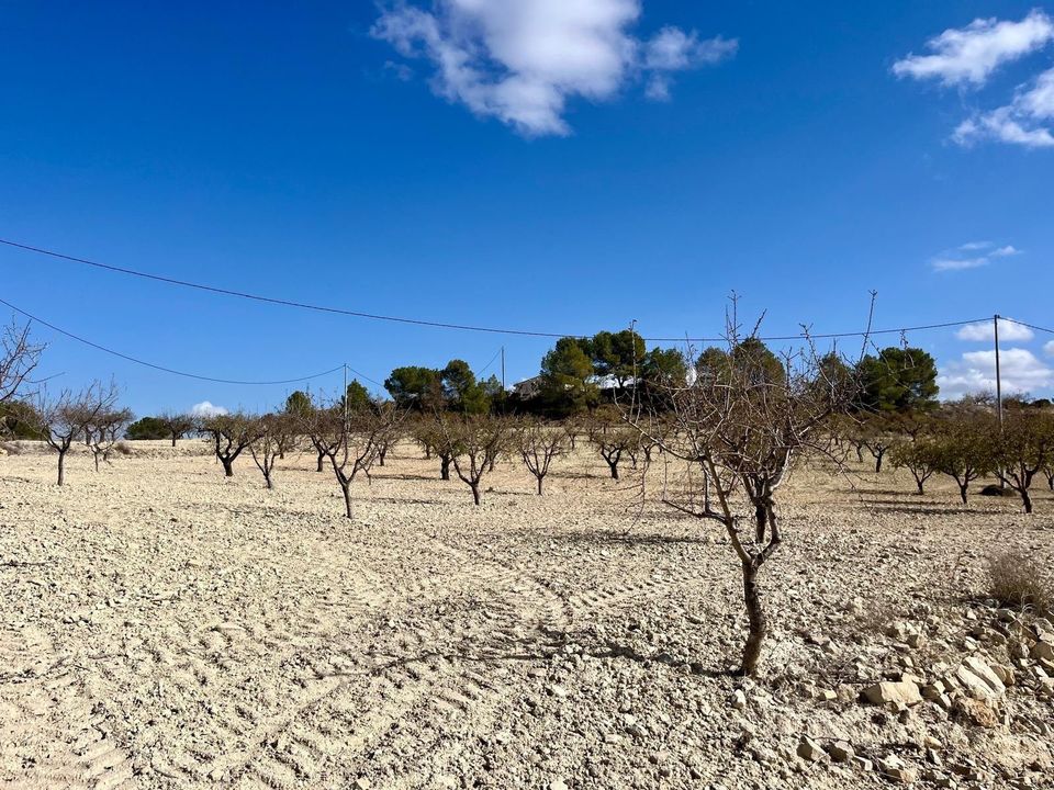 Helårsgrund i Bullas, Murcia - foto 3