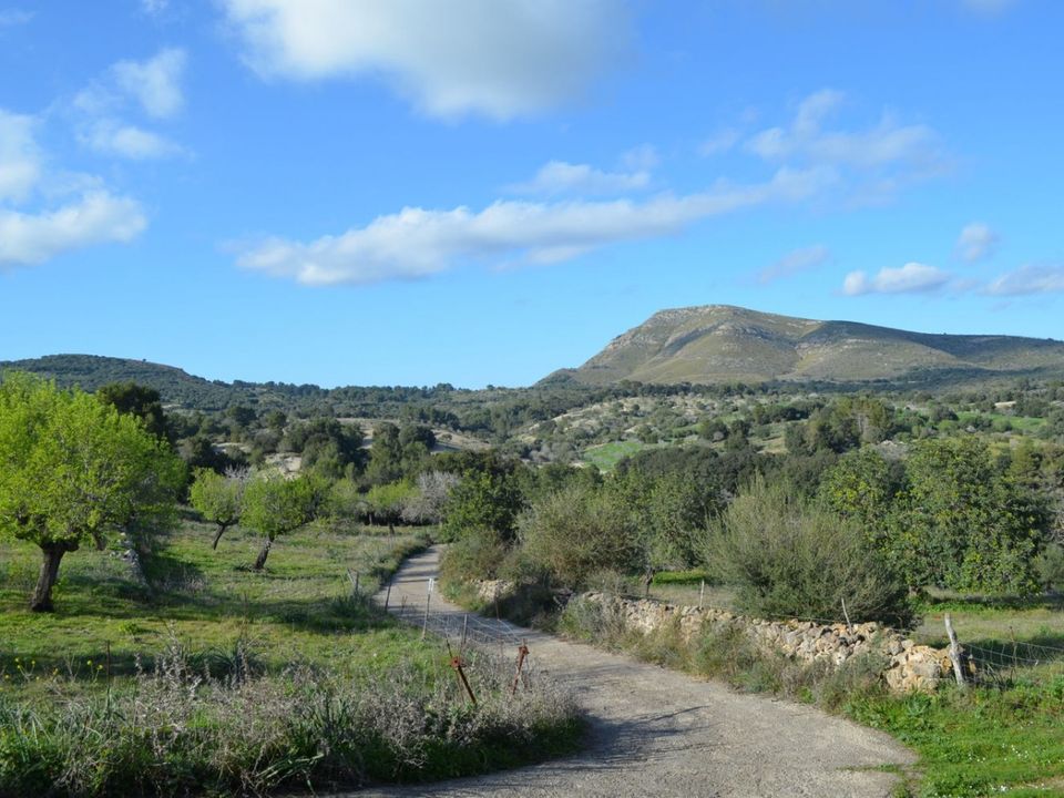 Landejendom i Sant Llorenc Des Cardassar, Mallorca - foto 3