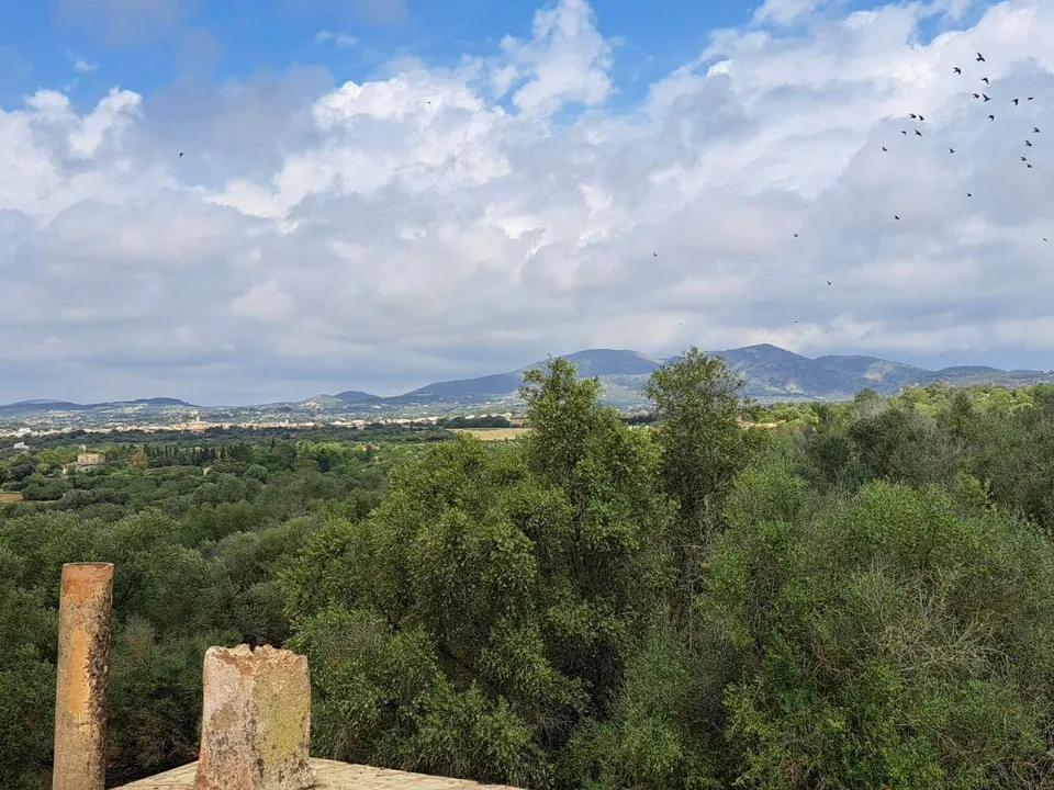 Landejendom i Sant Llorenc Des Cardassar, Mallorca - foto 3