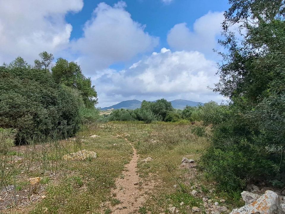 Landejendom i Sant Llorenc Des Cardassar, Mallorca - foto 5