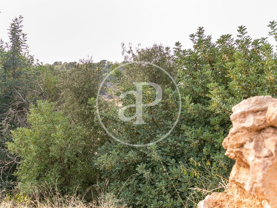 Helårsgrund i Bunyola, Mallorca - foto 2