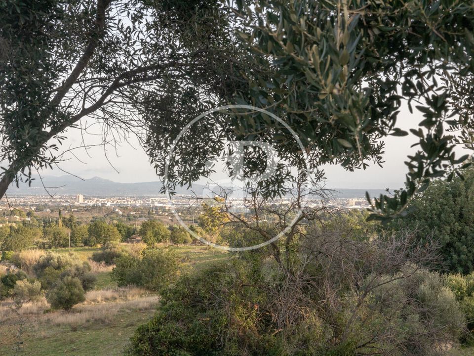 Villa i Palma De Mallorca, Mallorca - foto 3