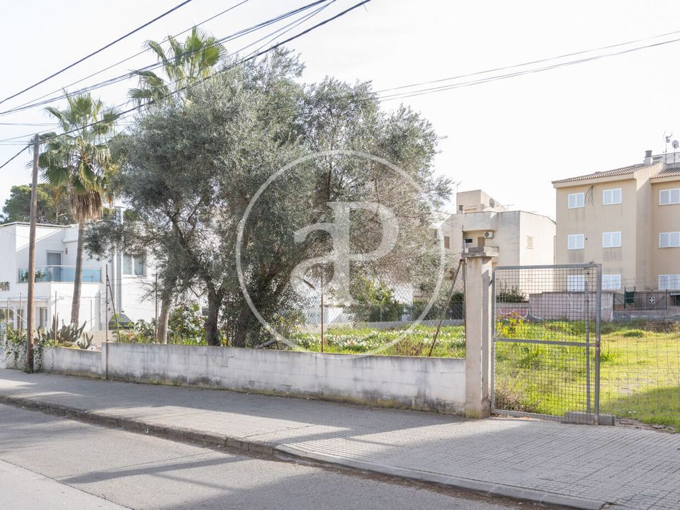 Villa i Santa Margalida, Mallorca - foto 3