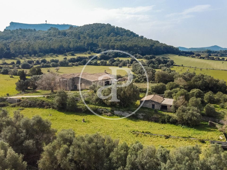 Farm hus i Algaida, Mallorca - foto 1