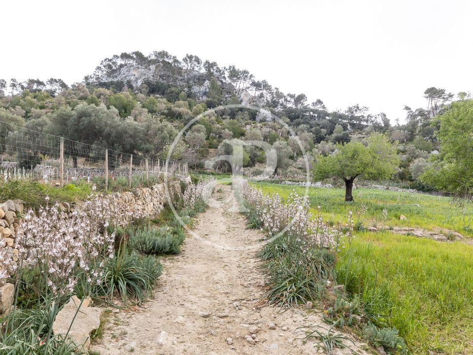 Villa a Esporles, Mallorca - foto 2