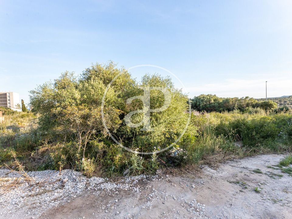 Helårsgrund i Manacor, Mallorca - foto 2