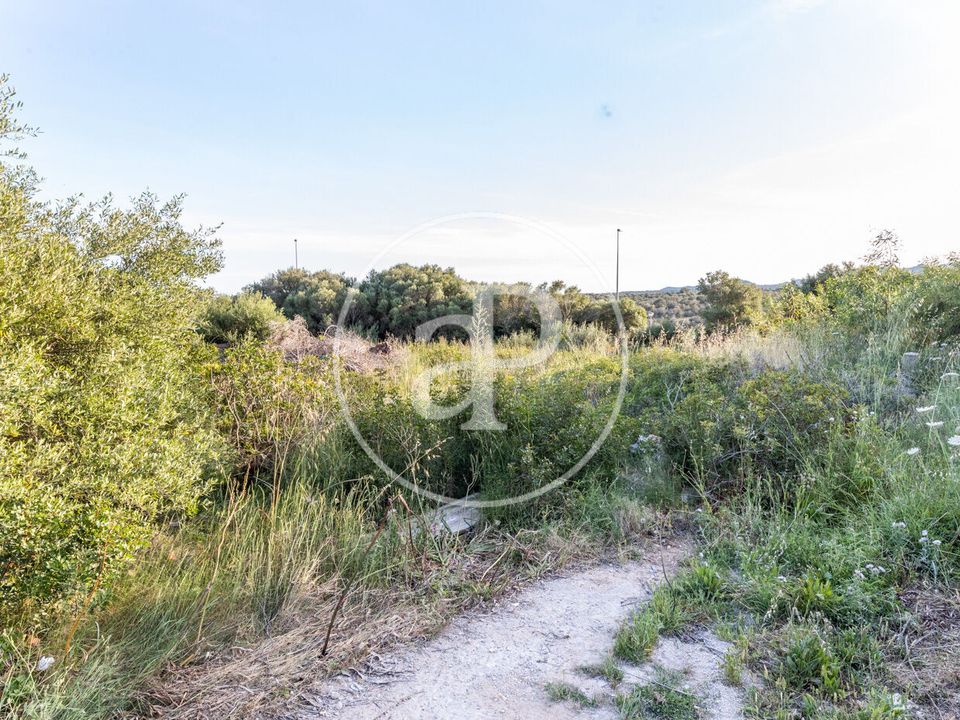 Helårsgrund i Manacor, Mallorca - foto 3