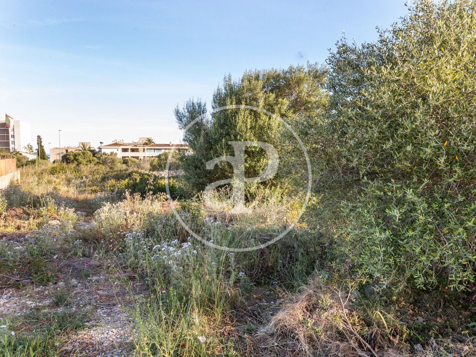 Helårsgrund i Manacor, Mallorca - foto 4