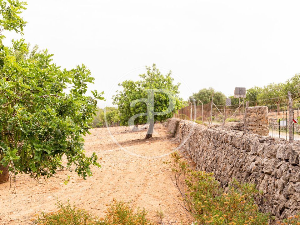 Helårsgrund i Manacor, Mallorca - foto 2
