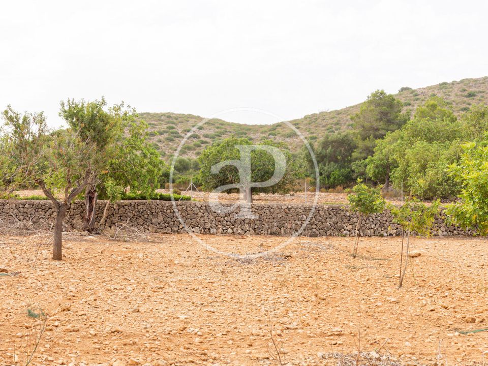 Helårsgrund i Manacor, Mallorca - foto 3