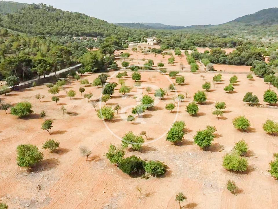 Helårsgrund i Manacor, Mallorca - foto 1