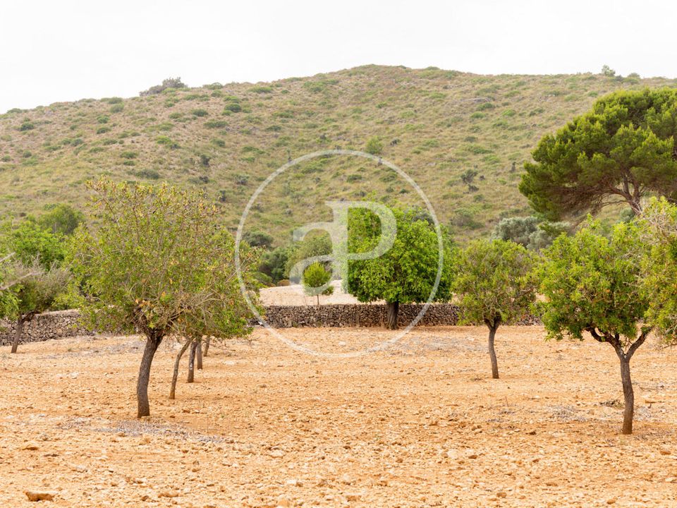 Helårsgrund i Manacor, Mallorca - foto 2