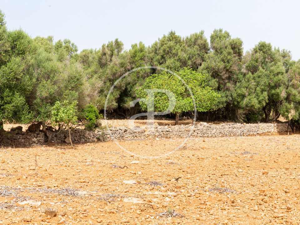 Helårsgrund i Manacor, Mallorca - foto 4
