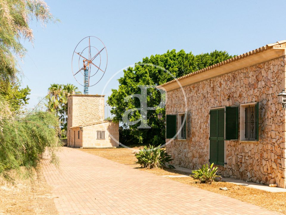 Villa i Palma De Mallorca, Mallorca - bilde 4