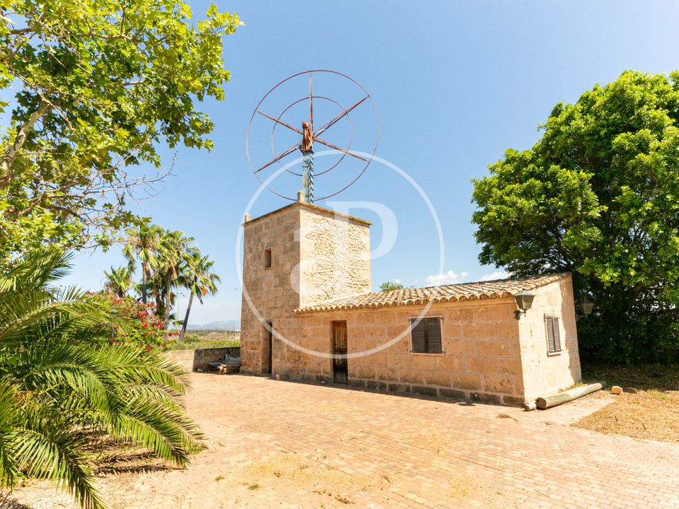 Villa i Palma De Mallorca, Mallorca - bilde 5