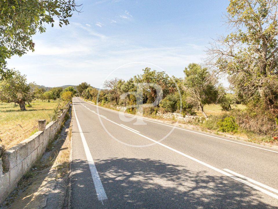 Terra a Felanitx, Mallorca - foto 3