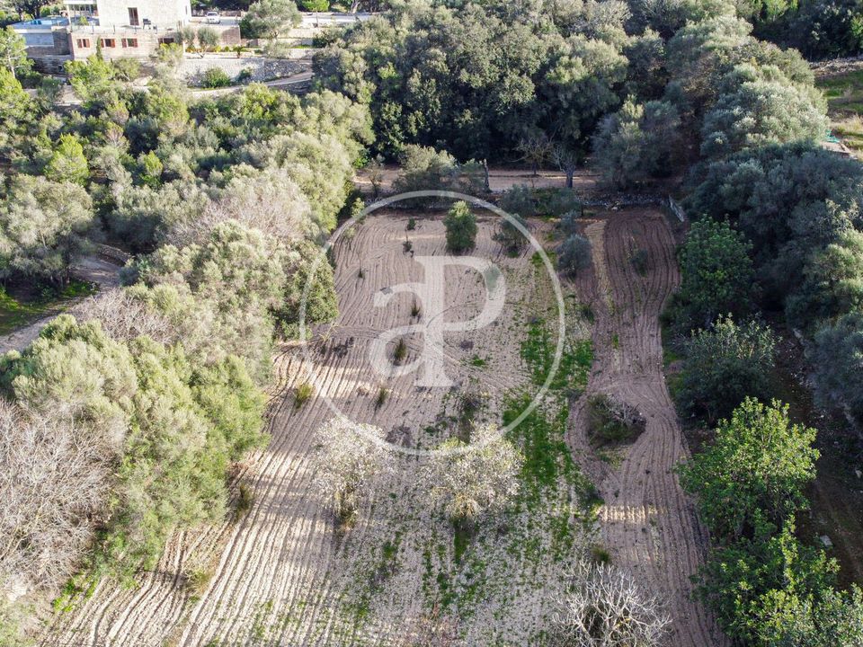 Helårsgrund i Santa Margalida, Mallorca - foto 4