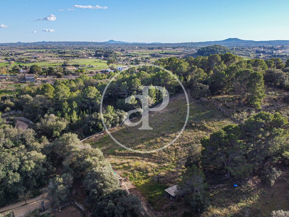 Helårsgrund i Santa Margalida, Mallorca - foto 5
