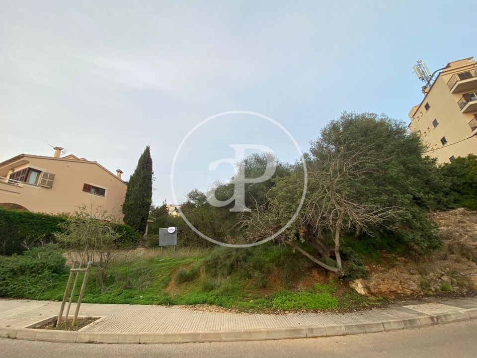 Terreno en Palma De Mallorca, Mallorca - foto 3