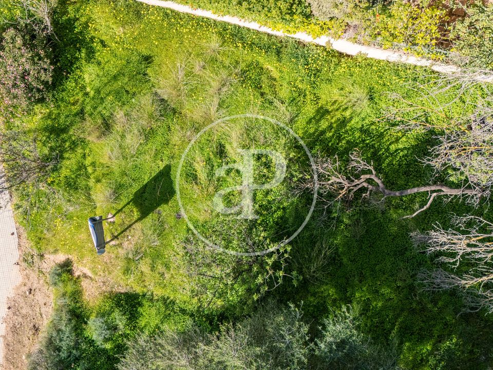 Terreno en Palma De Mallorca, Mallorca - foto 4