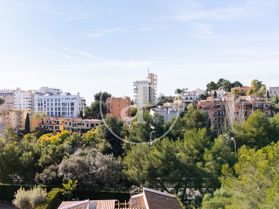 Terreno en Palma De Mallorca, Mallorca - foto 5