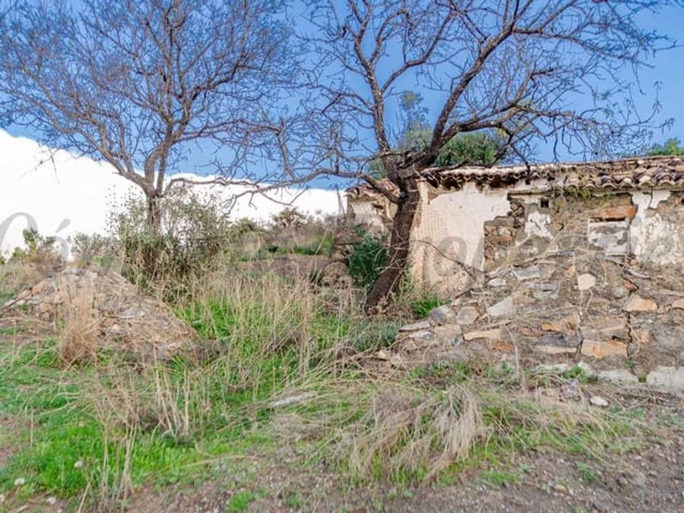 Helårsgrund i Salares, Malaga - foto 2