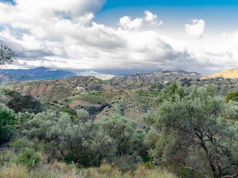 Helårsgrund i Salares, Malaga - foto 3