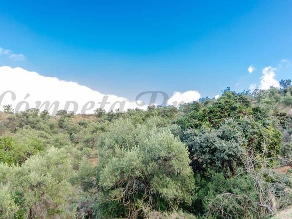 Helårsgrund i Salares, Malaga - foto 4