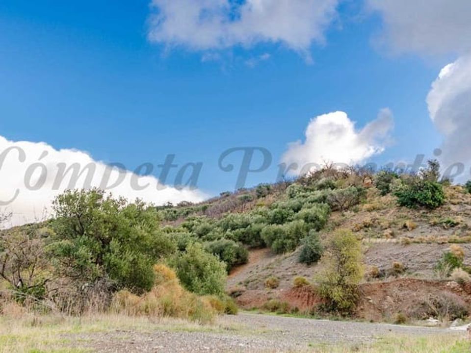 Helårsgrund i Salares, Malaga - foto 5