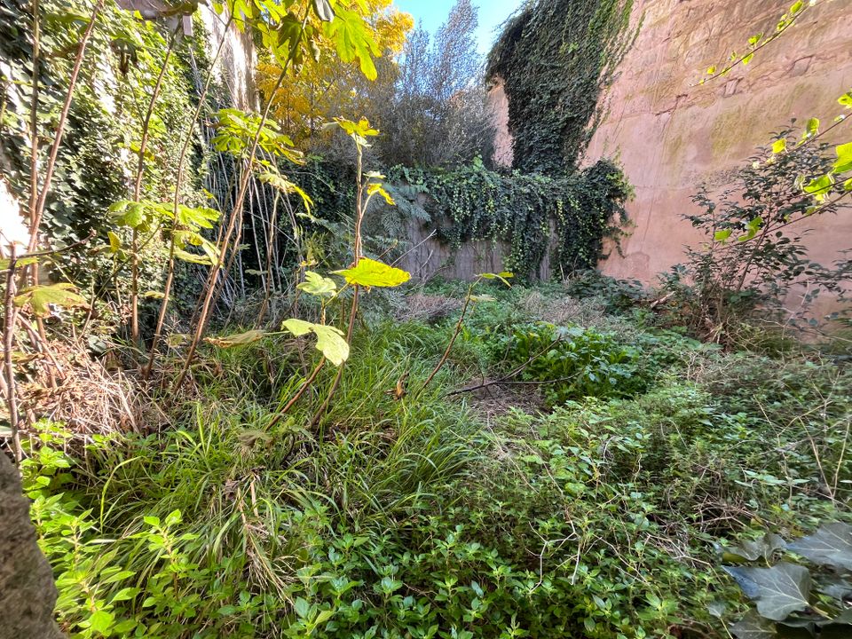 Helårsgrund i Manacor, Mallorca - foto 1