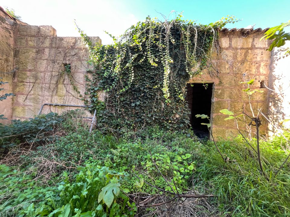 Helårsgrund i Manacor, Mallorca - foto 2